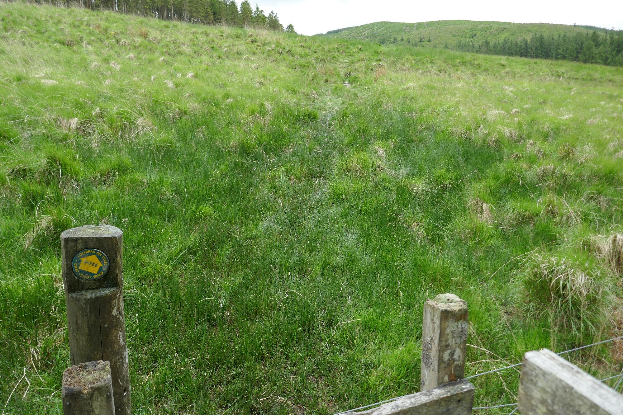 RachelSeabrook.net | Wild Walking | Devils-Bridge; pic42